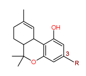 Tetrahydroannabinol nucleus